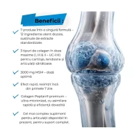 BP Protectie de articulatie Joint Support 30pack Orange - thumbs image 4