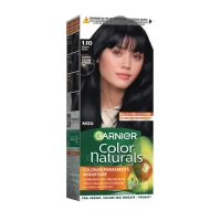 Garnier Color Naturals Vopsea de par 1.10 Negru Rece