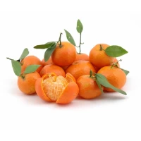 Mandarine Egypt, kg - thumbs image 2