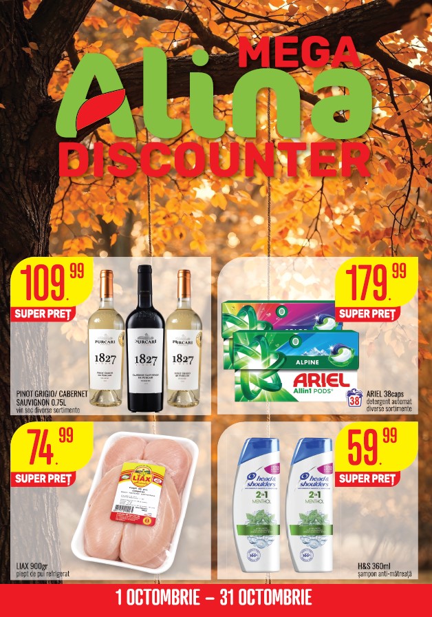 Каталог Mega Alina Discounter — Октябрь 2026