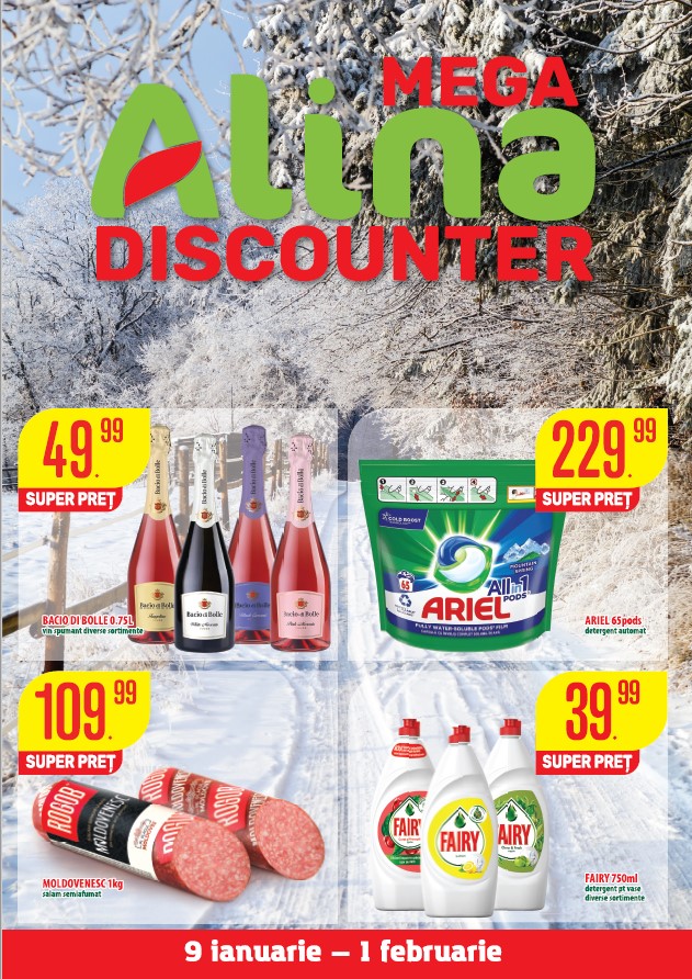 Catalogul Mega Alina Discounter – Ianuarie