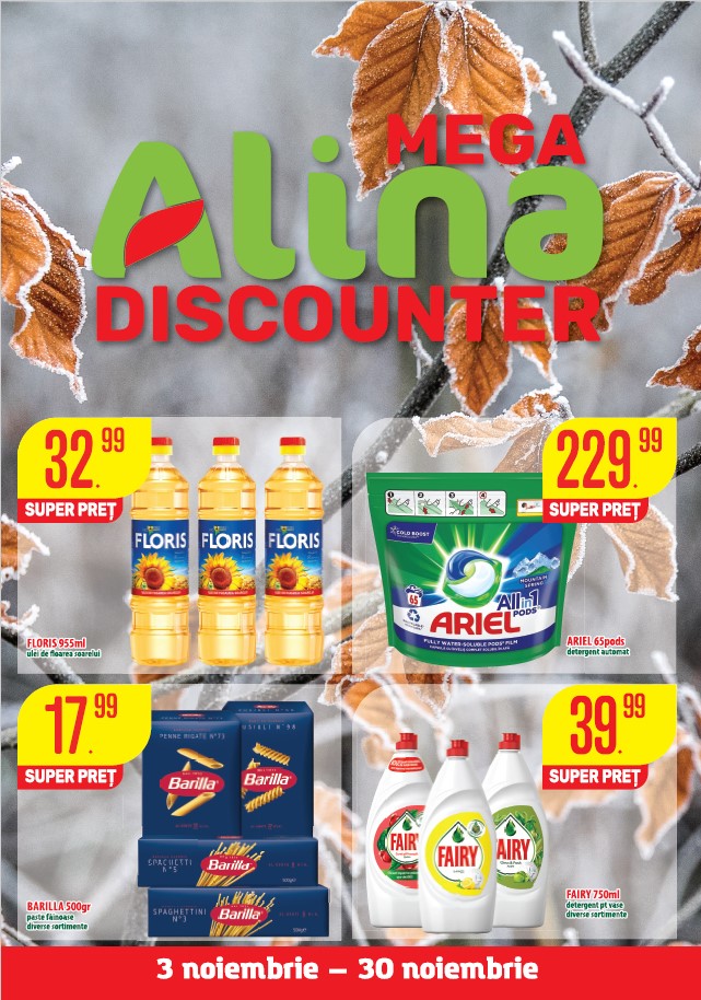 Catalogul Mega Alina Discounter – Noiembrie