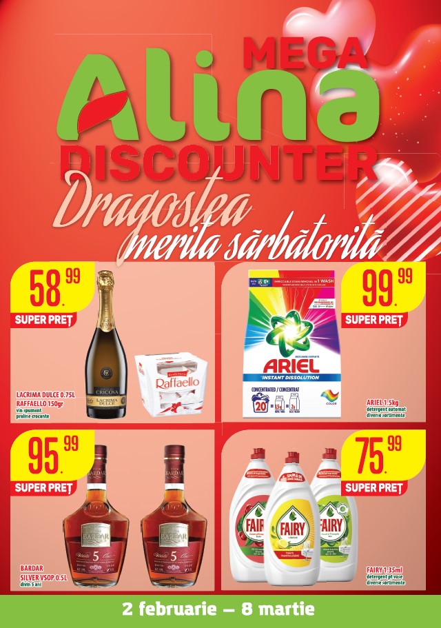 Catalogul Mega Alina Discounter – Februarie