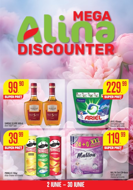 Catalogul Mega Alina Discounter – Iunie