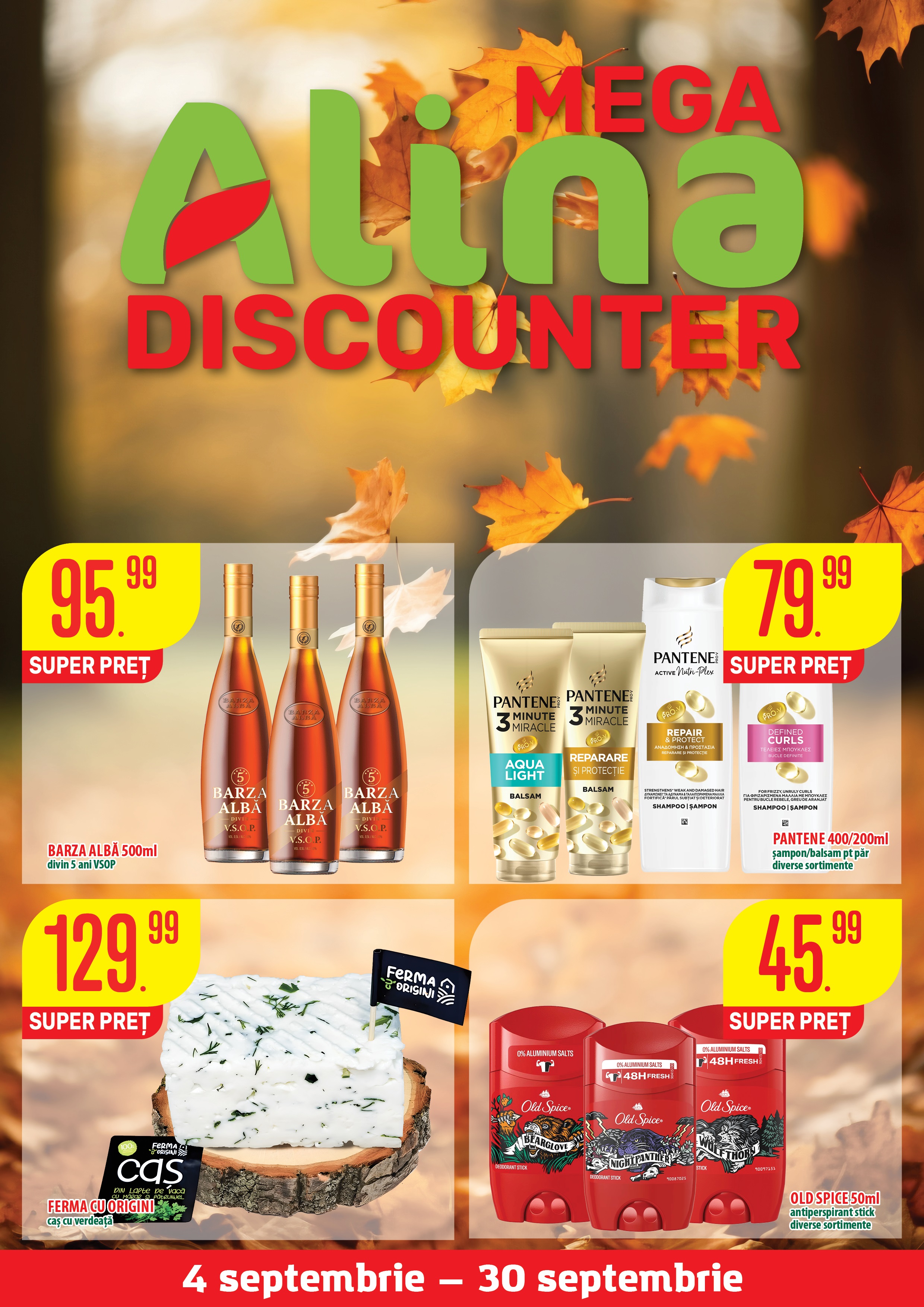 Catalogul Mega Alina Discounter – Septembrie